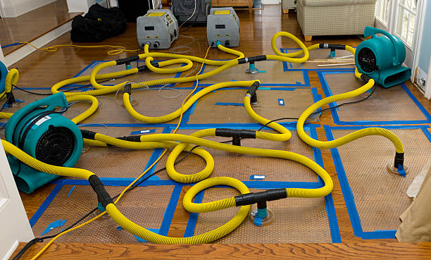Professional Emergency Water Removal technician working in Paterson, NJ